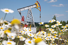  Brent   $66,31  