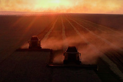 Российский зерновой союз заявил о сокращении экспорта зерна в июле-октябре на четверть Российский зерновой союз заявил о сокращении экспорта зерна в июле-октябре на четверть