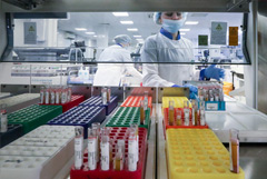 В России создан первый в мире быстрый тест для диагностики гепатита С В России создан первый в мире быстрый тест для диагностики гепатита С