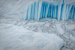 Что произошло в мире науки. Вечерний дайджест Что произошло в мире науки. Вечерний дайджест