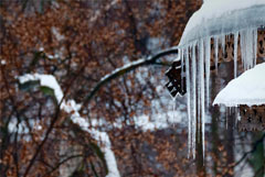 Нейросети в Петербурге начали отслеживать сосульки на крышах Нейросети в Петербурге начали отслеживать сосульки на крышах