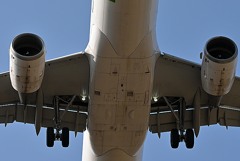 Проблемы с бортовыми системами привели к задержкам и отменам вылетов Airbus по всему миру Проблемы с бортовыми системами привели к задержкам и отменам вылетов Airbus по всему миру