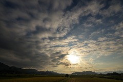 Ученые зафиксировали на Солнце первые сильные вспышки нового всплеска активности Ученые зафиксировали на Солнце первые сильные вспышки нового всплеска активности