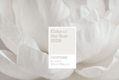 Институт цвета Pantone назвал цвет 2026 года Институт цвета Pantone назвал цвет 2026 года