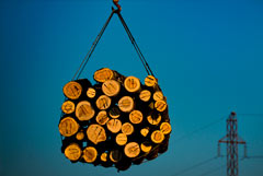 Госдума приняла закон о правилах рубки лесов на Байкале Госдума приняла закон о правилах рубки лесов на Байкале