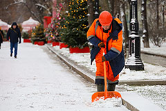 До 4 см снега может выпасть в Москве к субботе До 4 см снега может выпасть в Москве к субботе