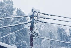 В Пензенской области более 24 тысяч человек остаются без электричества В Пензенской области более 24 тысяч человек остаются без электричества