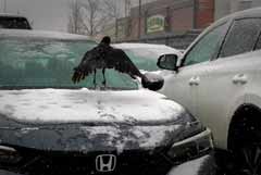 Honda отзывает 70,7 тыс. автомобилей в США Honda отзывает 70,7 тыс. автомобилей в США