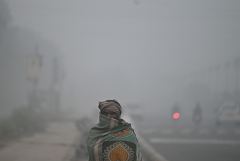 Британец приговорен в ДНР к 13 годам колонии за наемничество Британец приговорен в ДНР к 13 годам колонии за наемничество