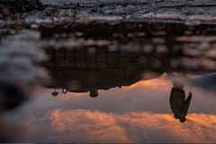 ����� �������, ��� ������� ����������� �������� ��� �������������� �������