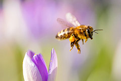 ��� ��������� � ���� �����. �������� ��������