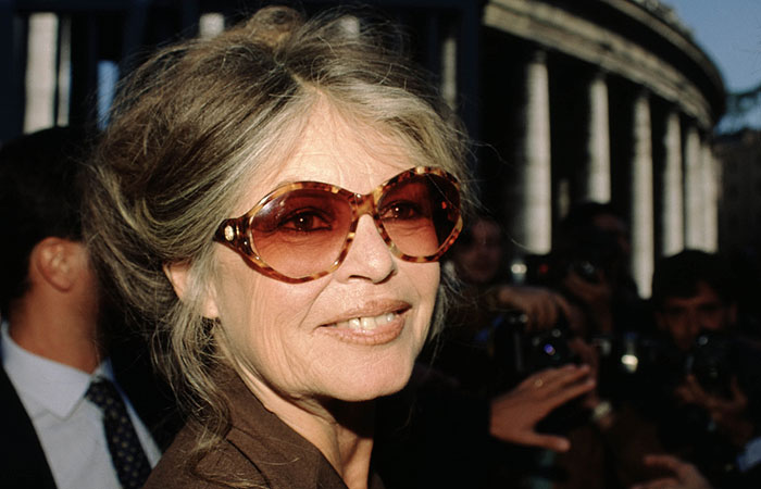 ������ �����. �������� ����