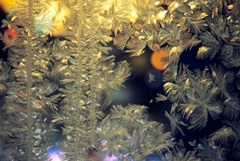 ������ ��������� ������ �������������� � �������� ������ � �������� ������� � ���������� ����