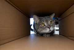 ��� ��������� � ���� �����. �������� ��������