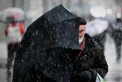 ������ ���� ��������� � ����������� � ������