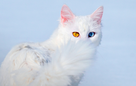 Лучшие фото 2025 года Лучшие фото 2025 года