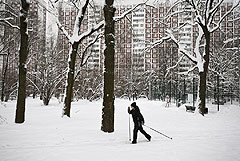 Температура в Москве начнет постепенно понижаться в начале следующей недели Температура в Москве начнет постепенно понижаться в начале следующей недели