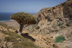 ���������� ������� �������� �� ������� ������� � ������