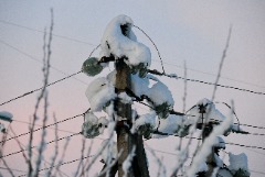 Восстановлено электроснабжение более чем 1,5 тыс. домов в Краснодарском крае Восстановлено электроснабжение более чем 1,5 тыс. домов в Краснодарском крае