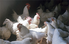 ������ ����� ������� ������� ������ ���� � ���� � ������