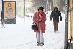 � ������ ��������� ����������� �� 20 �������� ������ � 14 ������