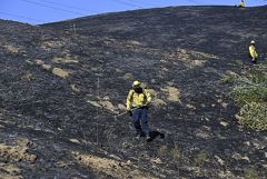 ����� ������� ��������� �� ��������� �������� � 2025 �. ���������� �� $224 ����