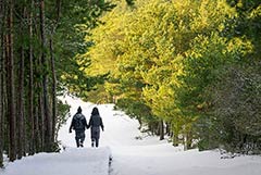 �� ��������� �������� "�������� ����" ������ ���� � ���������� ����� ����