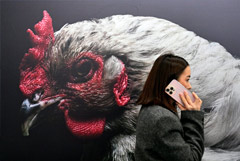 ���������� ������������� ���� ��������� ������ ������ ������� �������� �� �����