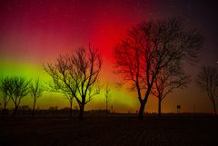 ������ �������� � ���������� ������ ������� ��������� ���� 2026 ����