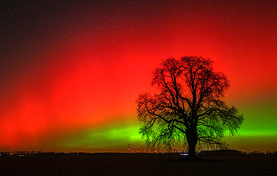 ������ ���� ������