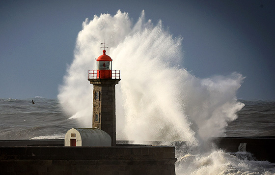 ����������� 23 ������