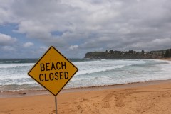 Умер один из четырех пострадавших при нападениях акул в Австралии Умер один из четырех пострадавших при нападениях акул в Австралии