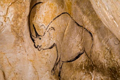 ��� ��������� � ���� �����. �������� ��������