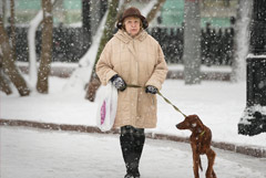 ������� �������� ��������� � ������ ��� ���