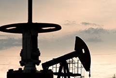 � ����� �������, ��� ������� ������ ����� �� �� �� 28% � ����� ������� ������