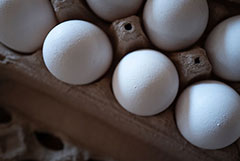 ��� �������������� ������� �� 26 ��������� ��������� � �������� �����