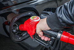 ���� �������������� �� ������ � �� � ������� ��������� �� 11,6%