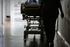 � ������������ �� ������ ������ ������ ��������� ��������������������� ���������