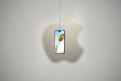 Apple увеличила квартальную выручку на 16% Apple увеличила квартальную выручку на 16%