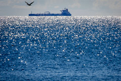 В ЕС предложили вместо "потолка цен" на нефть РФ запретить ее перевозку морем В ЕС предложили вместо "потолка цен" на нефть РФ запретить ее перевозку морем