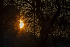 ������ �������� � ���������� �������� �������� ���������� �� ������