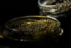 ������������ ������� ���� � �� � 2025 ���� ������� �� 21%, ������ - �� 9%