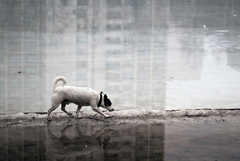 �������� ������ � ������ � �������