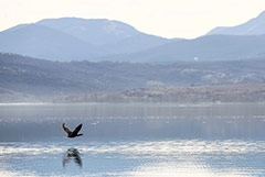 ���� ������� ���� � �������������� � ������� �� 320-340 �����