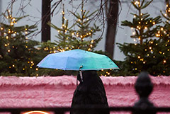 � ������ � ������� �������� �����