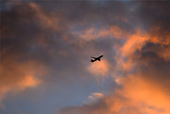 "���������" �������� ����� � ���������� � ������� �������