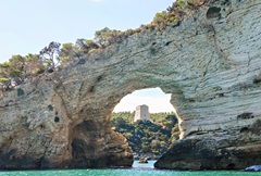 � ������ ��-�� ������ ���������� "���� ���������"