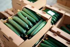 ��� ��������� �������� ���� �� ������ ��� �� ������