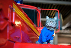 ���������� ��������� ���������� � �������� ����� �� 5 ����� ��������� � ���