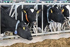 ���������� ������� �������������� ��������� ������������ � 2025 ���� �� ������ 22%